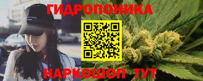спиды Моздок