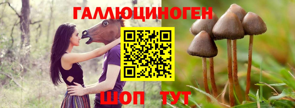 Дзержинск  Псилоцибиновые грибы Magic Shrooms  Вход с VPN 